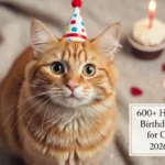 Birthday Wishes for Cat Lover